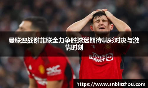 南宫28NG相信品牌力量