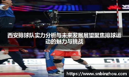 南宫NG28